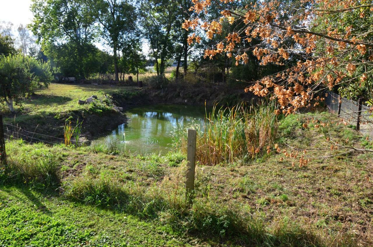 Letnisko Rozwarowo Appartement Kamien Pomorski Buitenkant foto